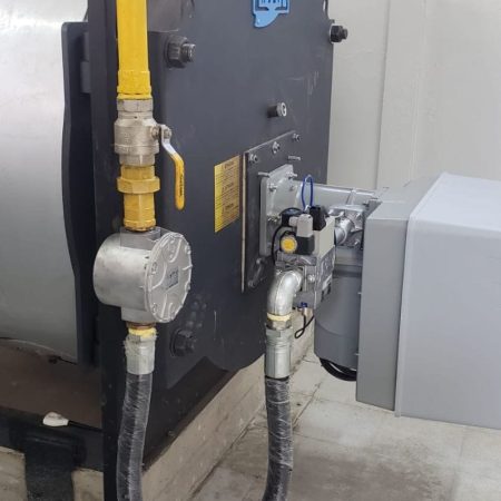 Proyecto Alimentos Coquimbo-2